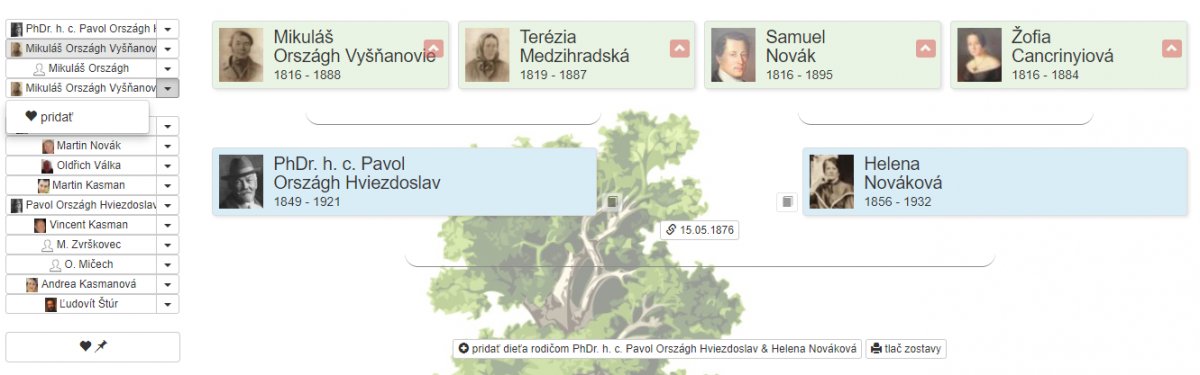Ako sa rýchlo prepínať medzi časťami rodokmeňa